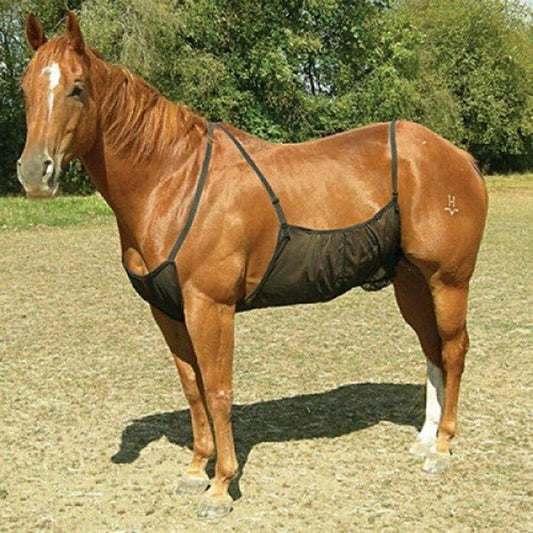 Horse Belly Breathable Protection Mesh Horse Comfortable Anti-scratch